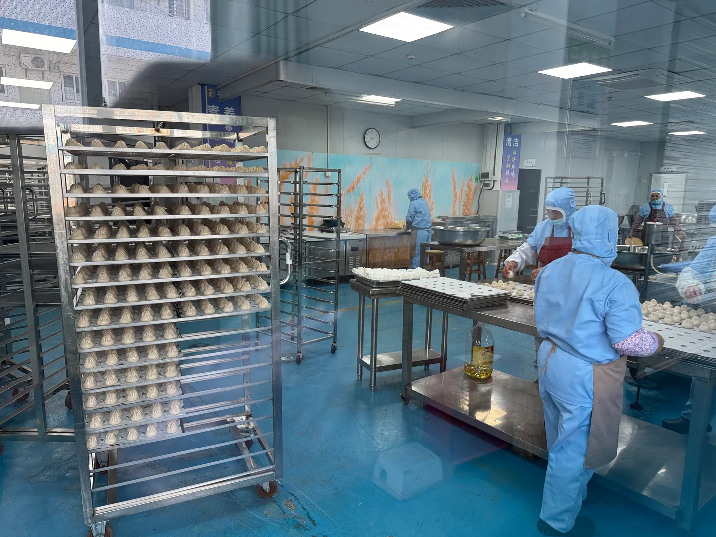 Staff preparing buns beside filled production racks at the 五点素 factory.